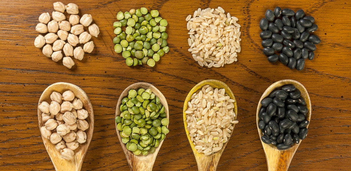 Intro. to Plant Based Proteins